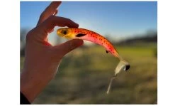 EJ Lures Flatnose Shad 19cm (50g) 7 EJ Lures Flatnose Shad 19cm (50g) -Sports-Fishing Equipment 012527673453234f