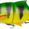 Savage Gear 4D Line Thru Roach, Limited Edition! -Sports-Fishing Equipment 02c4438e778ea504