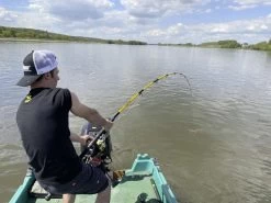 Black Cat Freestyle Spin Second Generation Catfish Rod -Sports-Fishing Equipment 05d088a8bdc7abe6