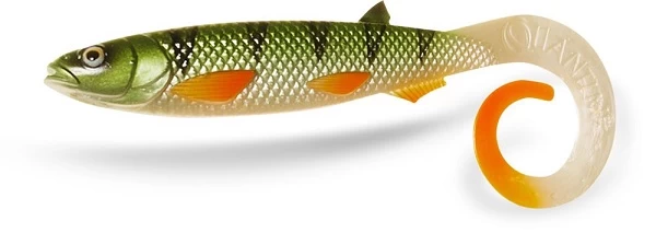 Quantum Yolo Curly Shad 3 Quantum Yolo Curly Shad