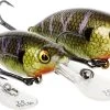 Westin BuzzBite Crankbait 5cm Suspending -Sports-Fishing Equipment 2341e299636b6a1c