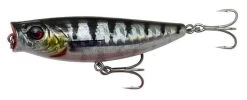 Savage Gear 3D Minnow Pop Walker 8cm 14g F (multiple Options) 13 Savage Gear 3D Minnow Pop Walker 8cm 14g F (multiple Options) -Sports-Fishing Equipment 33f248a528f34963