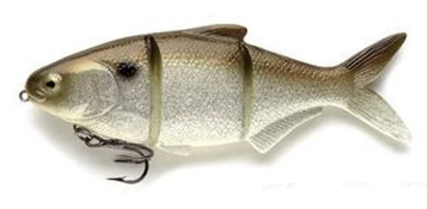 Castaic Platinum Series 4 Castaic Platinum Series - Image 2