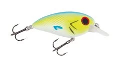 Jackson Barschwobbler 10 Jackson Barschwobbler -Sports-Fishing Equipment 4b19bc0f36bfaf2f