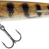 Salmo Sweeper Sinking Jerkbait 14cm (50g) Limited Edition 2 Salmo Sweeper Sinking Jerkbait 14cm (50g) Limited Edition -Sports-Fishing Equipment 556a00aaa4a910d2