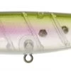 Illex Bonnie 107 17,5gr Floating Surface Lure -Sports-Fishing Equipment 56e1f025a7d8ee66