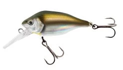 Fox Rage Funk Bug DR 5cm 7gr Floating 0-2m UV Plug -Sports-Fishing Equipment 6cf3f21492ad5a1b