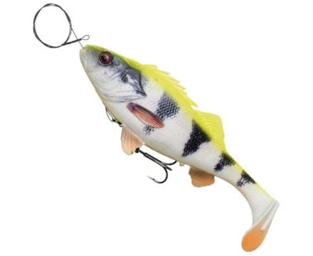 Savage Gear 4D Line Thru Perch Shad 20 Cm 5 Savage Gear 4D Line Thru Perch Shad 20 Cm - Image 3