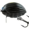 FOX RAGE Salmo Lil' Bug 3cm Floating Plug 1 FOX RAGE Salmo Lil' Bug 3cm Floating Plug -Sports-Fishing Equipment 9b8f9dfc88d5a158