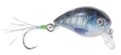 Balzer UV Confidential Baby Crank 9 Balzer UV Confidential Baby Crank -Sports-Fishing Equipment a018cca8eb22ee6e