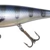 Musky Innovations Regular Shallow Swimmin' Dawg 8" 2 Musky Innovations Regular Shallow Swimmin' Dawg 8" -Sports-Fishing Equipment a6b7596eaa4d2a74