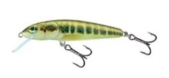Salmo Minnow 6cm 4gr Floating 0,5-1m -Sports-Fishing Equipment b487e79fd716f615