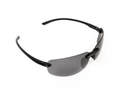 Avid Beam Sunglasses