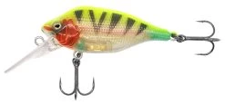 Fox Rage Funk Bug DR 5cm 7gr Floating 0-2m UV Plug -Sports-Fishing Equipment be91c2a5a506f35a