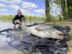 Black Cat Freestyle Spin Second Generation Catfish Rod -Sports-Fishing Equipment c69aa7a134ae860b