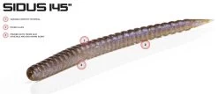 Molix Sidus 145 (10pcs) -Sports-Fishing Equipment cc54d872b3d1d33a