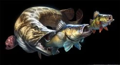 Savage Gear Cannibal T-shirt -Sports-Fishing Equipment cd9c0c7ea07202f3