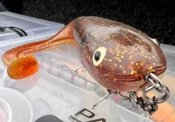 Gator Catfish Shad 35cm (160g) -Sports-Fishing Equipment d5032c4cac9f3283