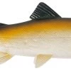 Uni Cat Trout Softbait 20cm