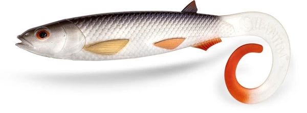 Quantum Yolo Curly Shad 6 Quantum Yolo Curly Shad - Image 4