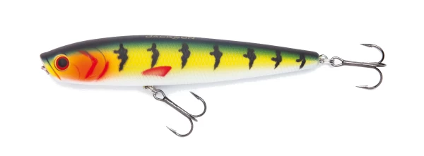 Jackson Minnow Pop 5 Jackson Minnow Pop - Image 3